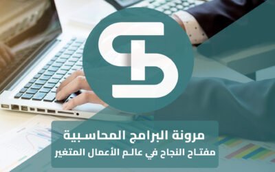 مرونة البرامج المحاسبية مفتاح النجاح في عالم الأعمال المتغير